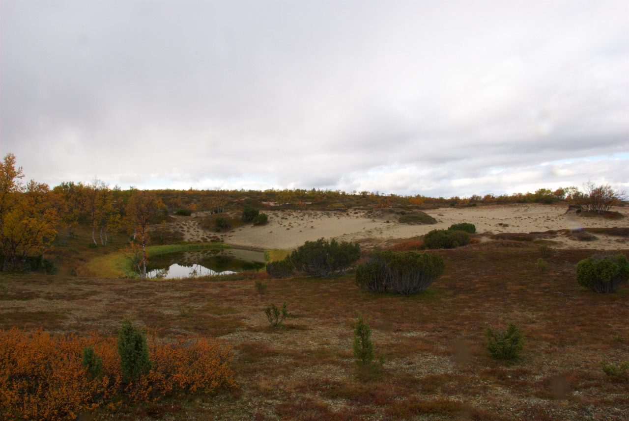 Kalmakaltio Kalmakaltio