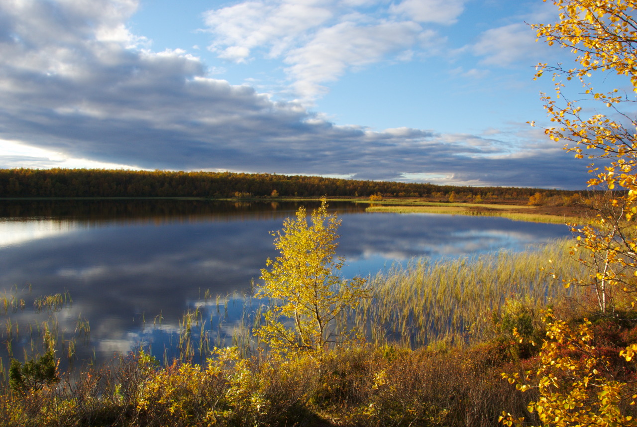 Naltijärvi Naltijärvi