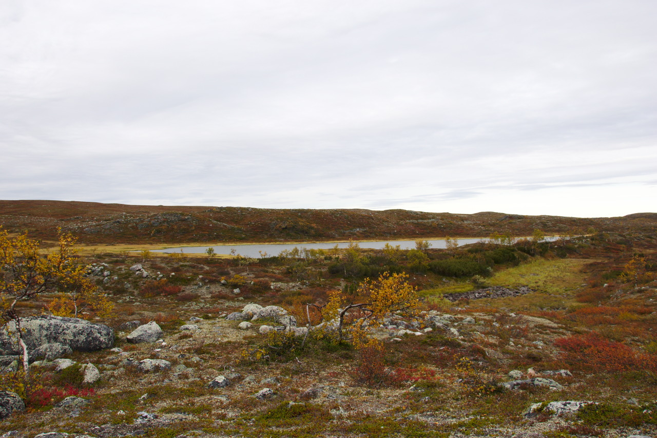 Haukijärvi Haukijärvi