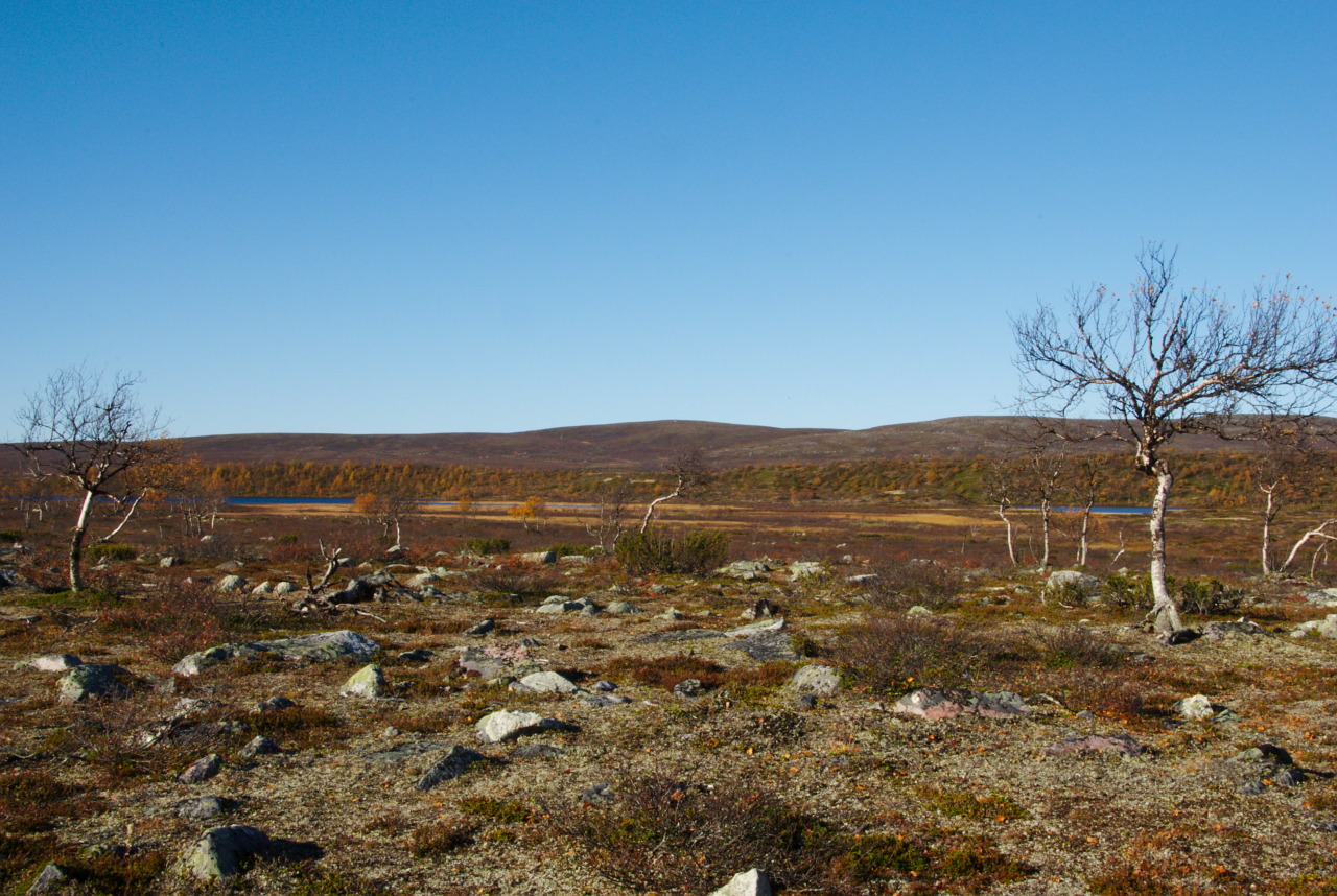 Pöyrisjärvi - Näkkälä Pöyrisjärvi - Näkkälä