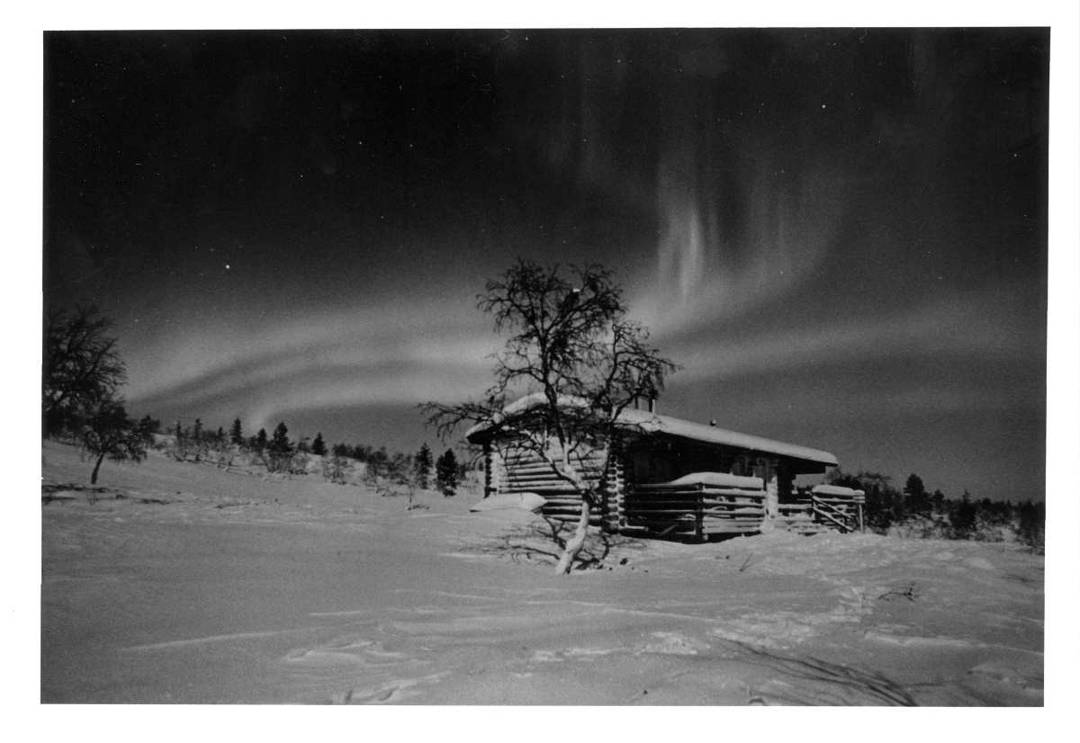 Northern lights in the background of the Sioskuru open wilderness hut Northern lights in the background of the Sioskuru open wilderness hut