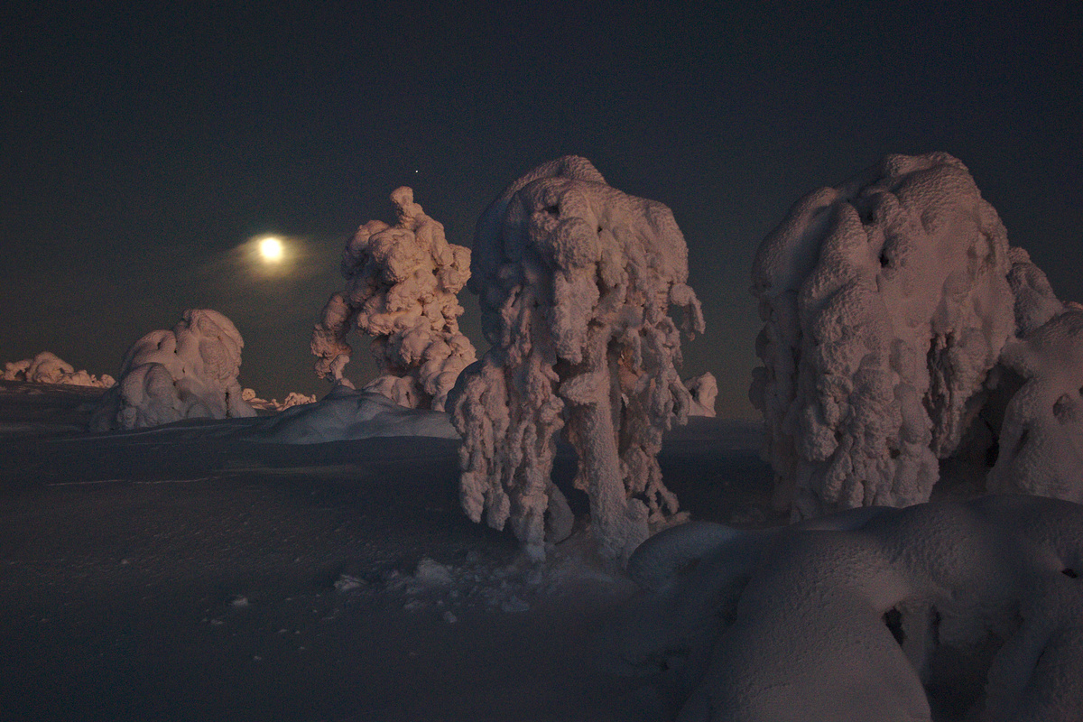 Cold night in the moon light Cold night in the moon light