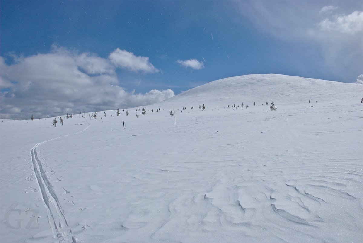 Sunshine and Snowfall tracks of skiers next coming from the summit of a fell