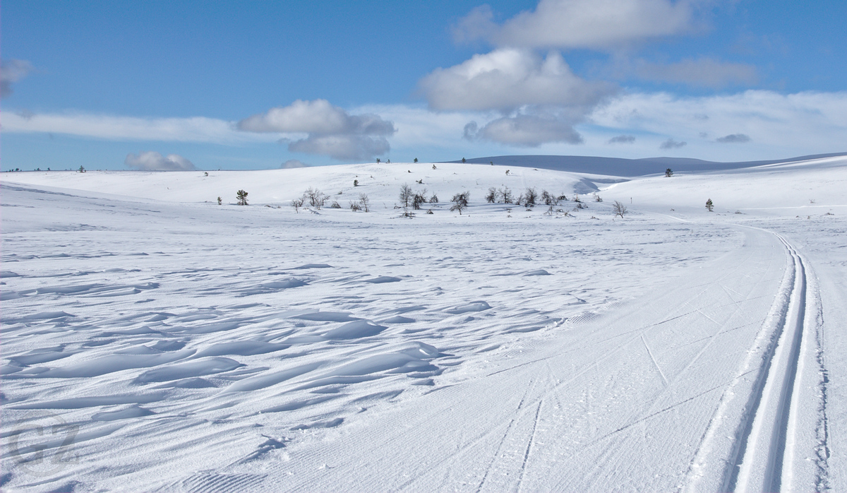 Skiing tracks skiing tracks in the fells