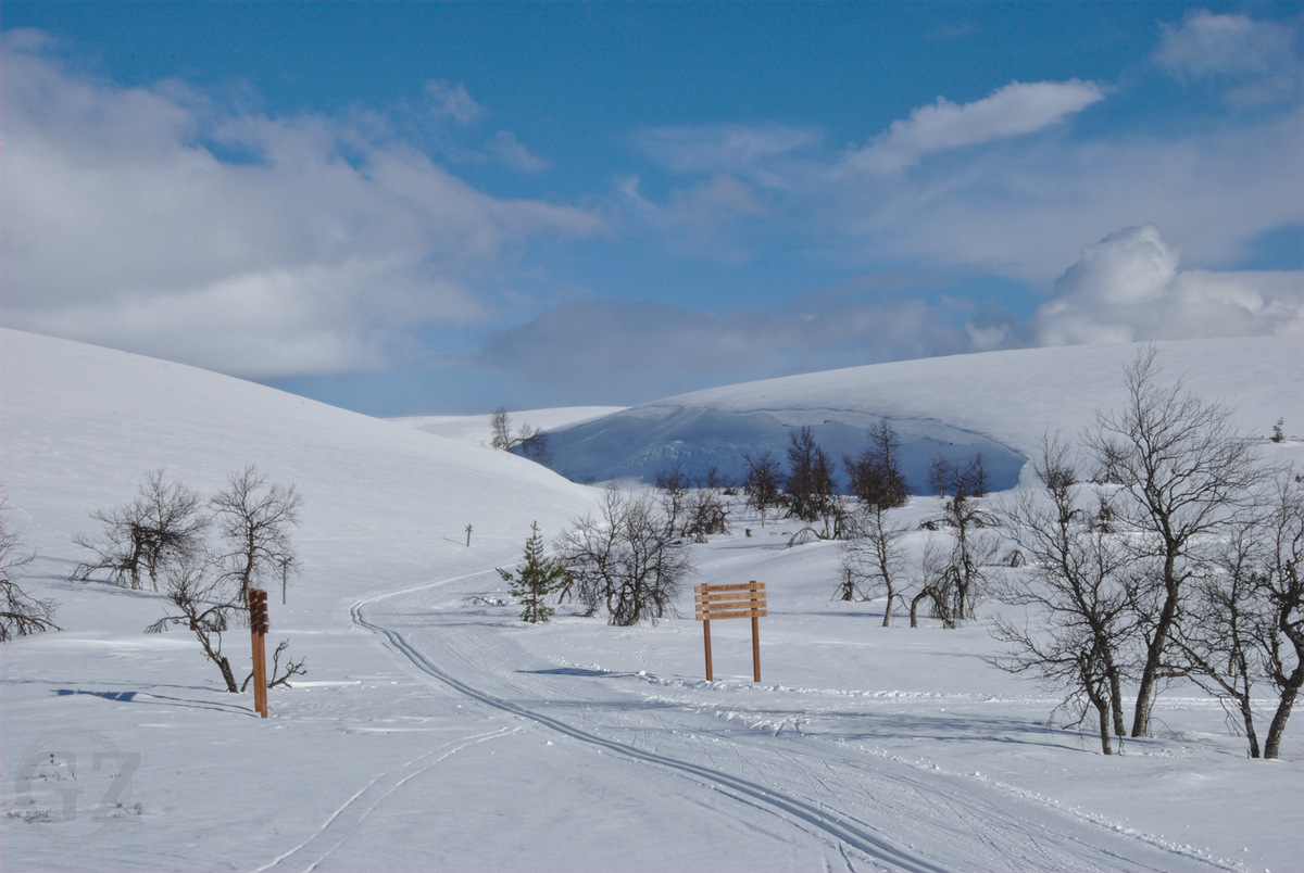 Skiing tracks skiing tracks in the fells leading into a narrow canyon