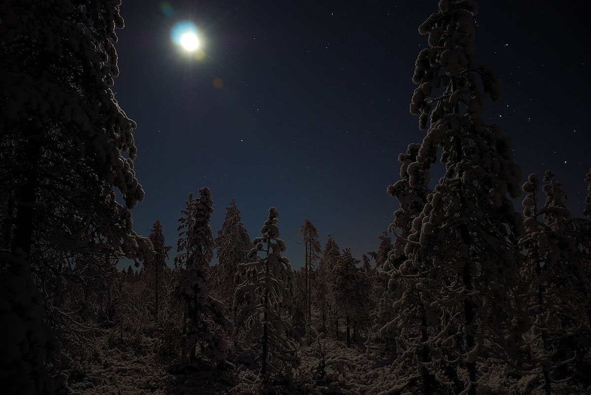 http://www.gerald-zojer.com/blog/wp-content/flagallery/finnish-lapland-in-winter/lap_winter10_02.jpg
