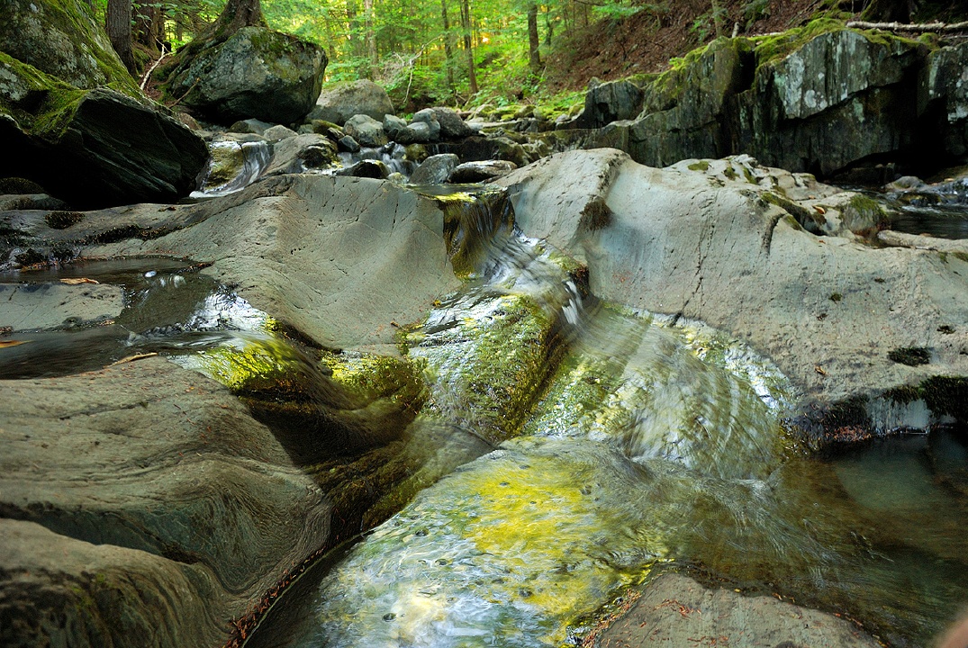 Brook in greeen lights, filtered by the surrounding trees, in Vermont