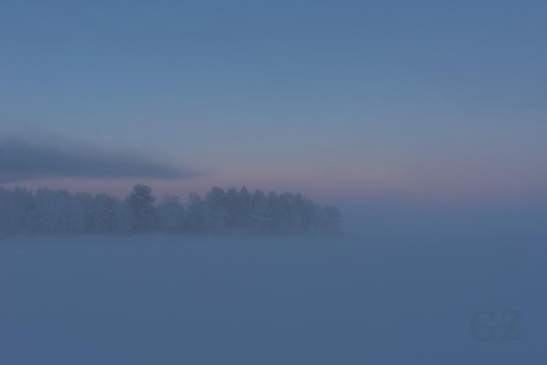 fog on lake with sparse tree line